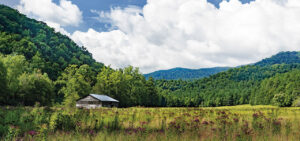Link to Catching up in Cataloochee essay in Our State Magazine